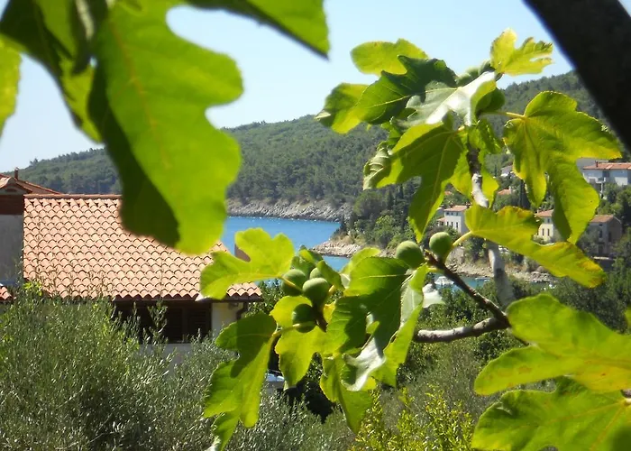Apartments Ida Sveta Marina