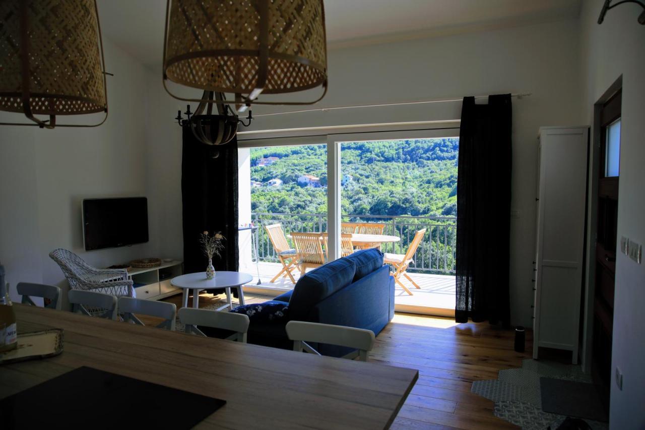 Ida Sveta Marina Apartment Drenje (Istria)